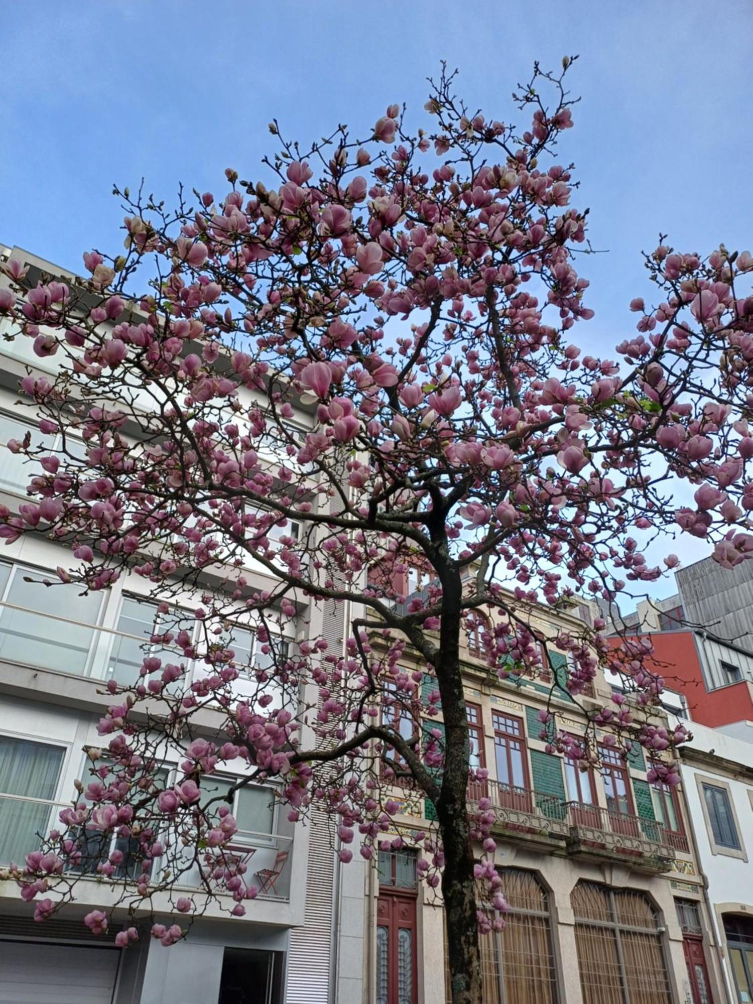 Otf- Porto Centro Apartman Kültér fotó